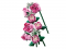 Конструктор LEGO Botanicals Букет рожевих троянд