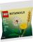 Конструктор LEGO recruitment Botanicals Польові квіти