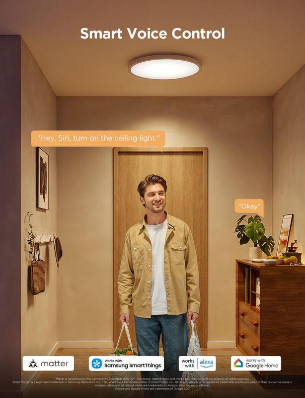 Потолочний світильник Govee 12" Smart Ceiling Light, RGBWW + RGBIC, WI-FI/Bluetooth, білий