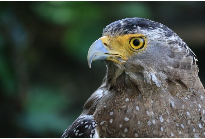 Цифр. фотокамера Canon EOS R100 + 18-45 IS STM + 75-300 IS STM