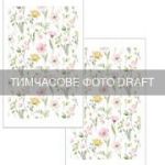 Набір рушничків для кухні ARDESTO Spring flowers 38х63см, 2шт, 100% бавовна, білий