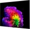 Телевізор 65" LG OLED 4K 120Hz (VRR 165Hz) Smart WebOS Black