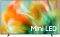 Телевізор 65" Samsung MiniLED 4K 144Hz VRR (100Hz Native) Smart Tizen Black
