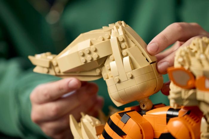 Конструктор LEGO Pokemon  Арканайн