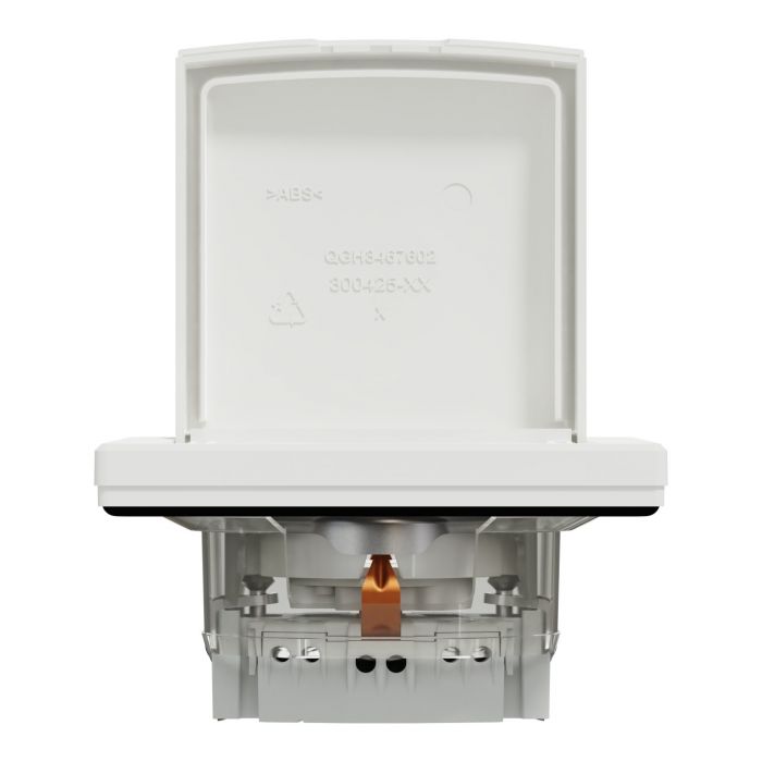 Розетка з кришкою з з/к та зі шторками Schneider Electric, Asfora (білий)