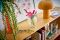 Конструктор LEGO Botanicals Квіти космеї