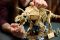 Конструктор LEGO Jurassic World Скамянілості динозаврів: трицератопс