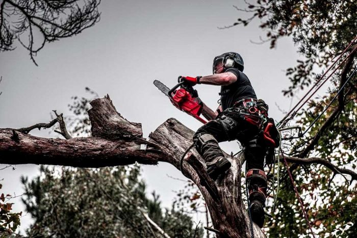 Пила ланцюгова акумуляторна Milwaukee M18 FCHS-0 18В шина 40см 6.4кг без АКБ та ЗП