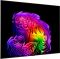 Телевізор 83" LG OLED 4K 120Hz (VRR 165Hz) Smart WebOS Black