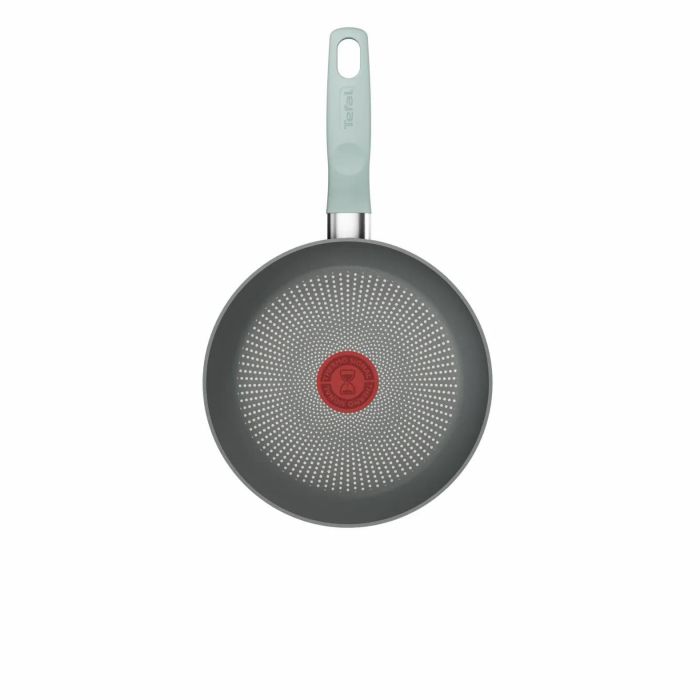Сковорода Tefal Halo EUCALYPTUS, 20см, алюміній, бакеліт, сірий
