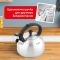 Чайник зі свистком Tefal Duetto+, 2.5л, нержавіюча сталь, сталевий, чорний