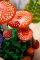 Конструктор LEGO Botanicals Лісові гриби