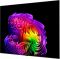 Телевізор 83" LG OLED 4K 120Hz (VRR 165Hz) Smart WebOS Black
