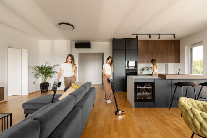 Пилосос Gorenje бездротовий, 60Вт, конт пил -0.6л, автон. робота до 50хв, HEPA, 2 в 1, підсвічування, індикатор, щітка- електротурбо, сірий