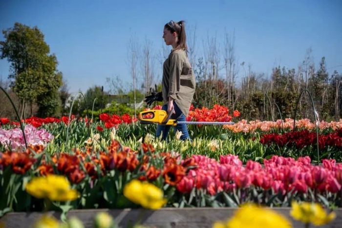 Кущоріз акумуляторний STIGA HT100eKit 20В 2А·год 50см крок різу 18мм ЗП 2.2кг