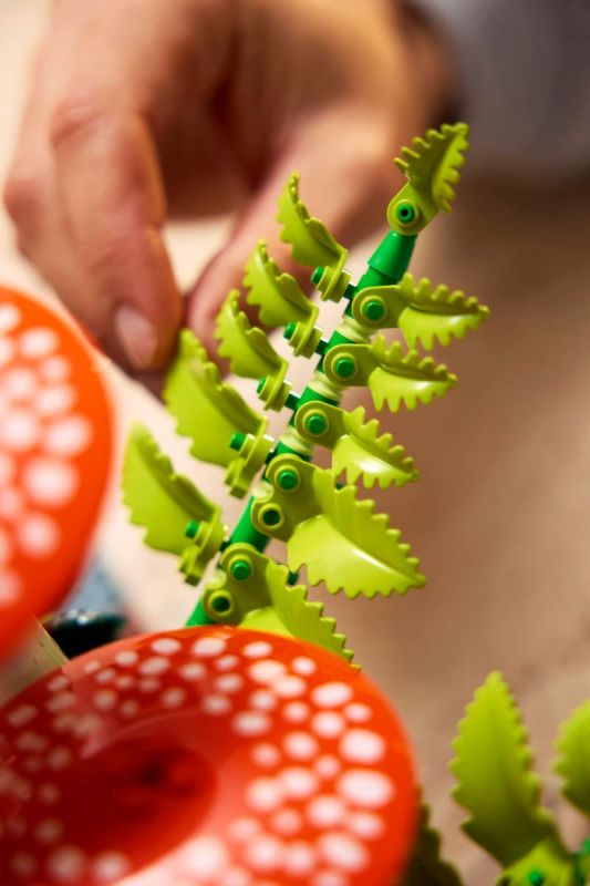 Конструктор LEGO Botanicals Лісові гриби