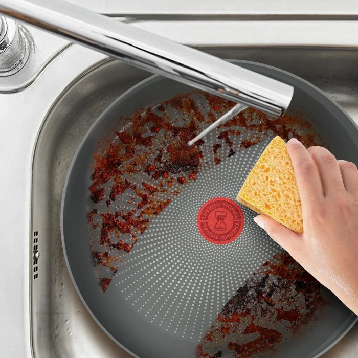Сковорода Tefal Halo EUCALYPTUS, 24см, алюміній, бакеліт, сірий