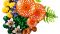 Конструктор LEGO Botanicals Лісові гриби